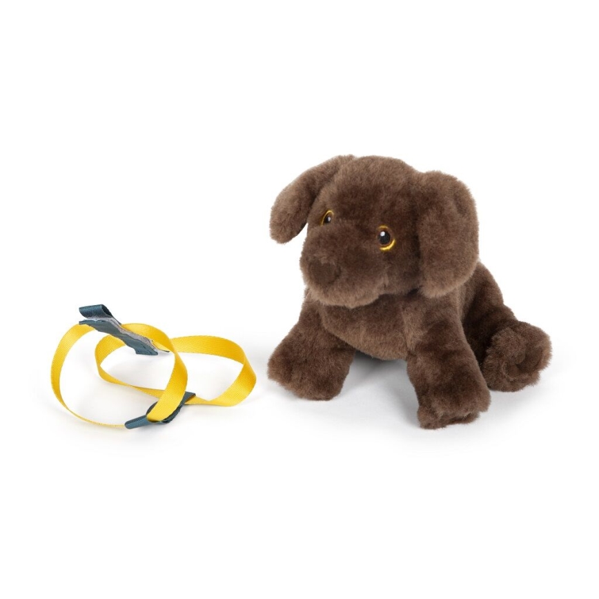 Small Foot - Chien en peluche avec kit d'entretien