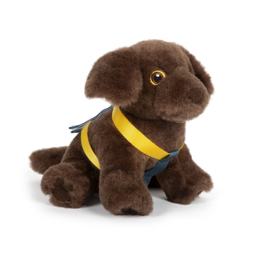 Small Foot - Chien en peluche avec kit d'entretien