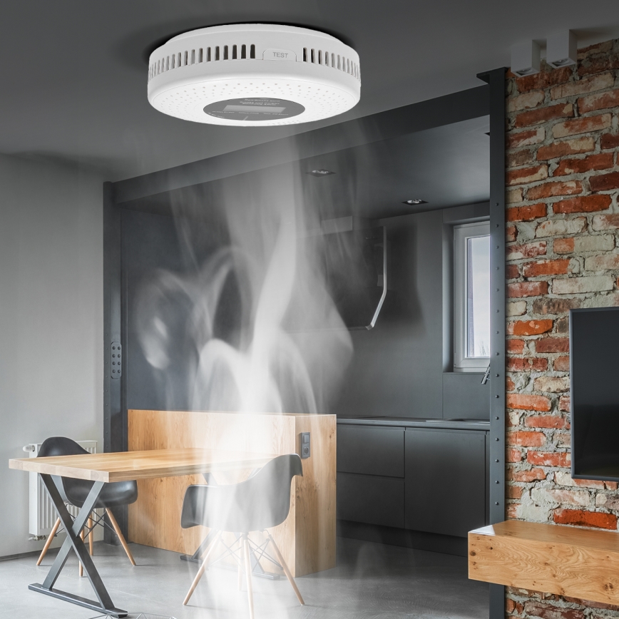 Rook- en koolmonoxidedetector met LCD-display 2xAA