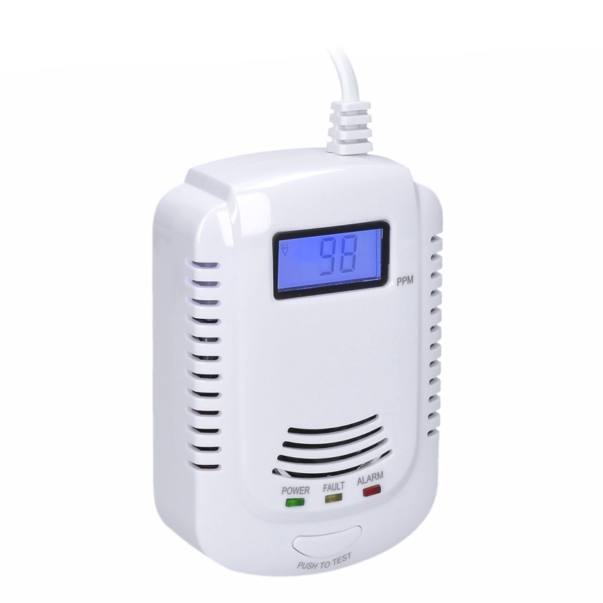 Détecteur de monoxyde de carbone et de gaz inflammables 230V