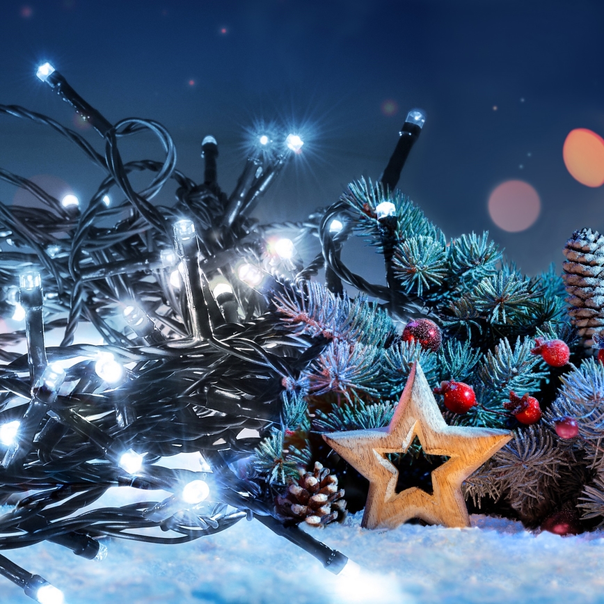 Guirlande LED d'extérieur 50 LED, 8 fonctions, 8 m, IP44, blanc froid