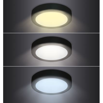 LED Plafondlamp LED/12W/230V 3000/4000/6000K zwart rond