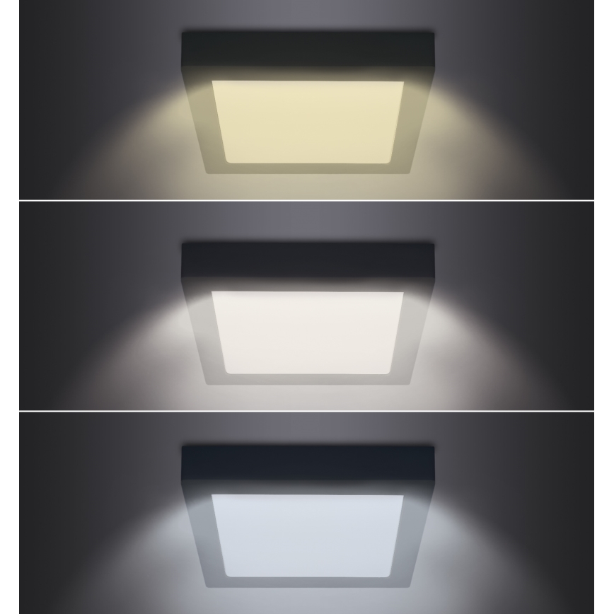 LED Plafondlamp LED/12W/230V 3000/4000/6000K zwart hoekig