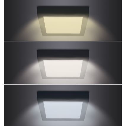 Plafonnier LED/12W/230V 3000/4000/6000K noir angulaire