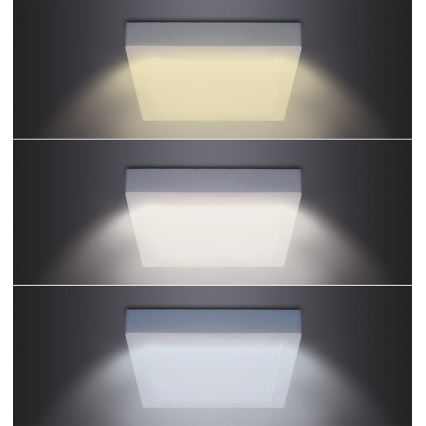 LED plafondlamp LED/18W/230V 3000/4000/6000K 22,5x22,5 cm wit