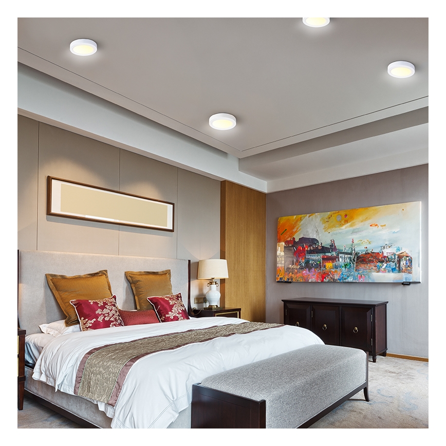 LED-plafondlamp 24W/230V 3000/4000/6000K Ø 30 cm wit