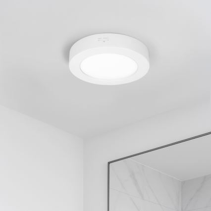 LED opbouw-/inbouwpaneel 2-in-1 LED/12W/230V 3000/4000/6000K Ø17 cm IP54 wit