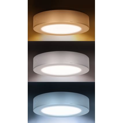 LED opbouw-/inbouwpaneel 2-in-1 LED/12W/230V 3000/4000/6000K Ø17 cm IP54 wit