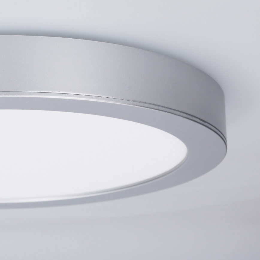 LED opbouw-/inbouwpaneel 2-in-1 24W/230V 3000/4000/6000K Ø 30 cm IP54 zilver
