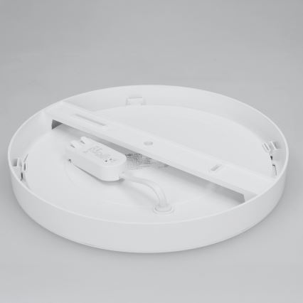 LED opbouw-/inbouwpaneel 2-in-1 24W/230V 3000/4000/6000K Ø 30 cm IP54 wit