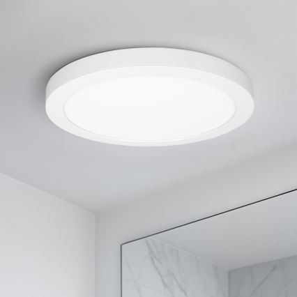 Panneau LED 2 en 1 appliqué/encastré 24W/230V 3000/4000/6000K Ø 30 cm IP54 blanc
