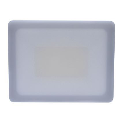 LED Schijnwerper voor buiten LED/30W/230V 4000K IP65