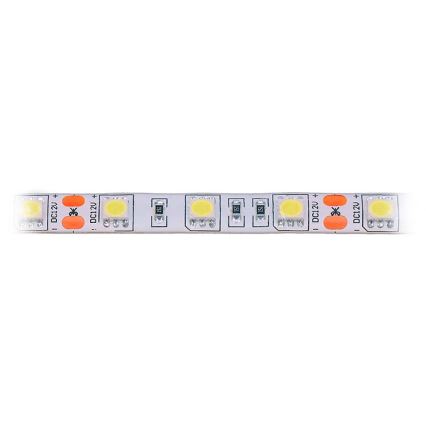 LED Strip voor Buiten LED/72W/12V 5m IP65 koud wit