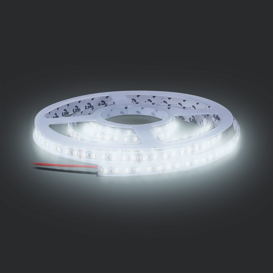 LED Strip LED/50W/12V 5m koud wit
