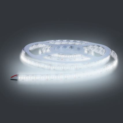 LED Strip LED/80W/12V 5m koud wit