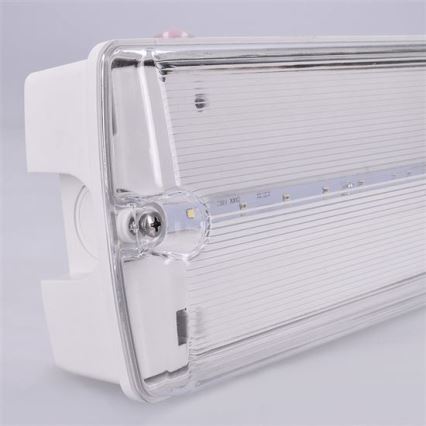 Bloc de secours LED/3,2W/230V IP65 6500K