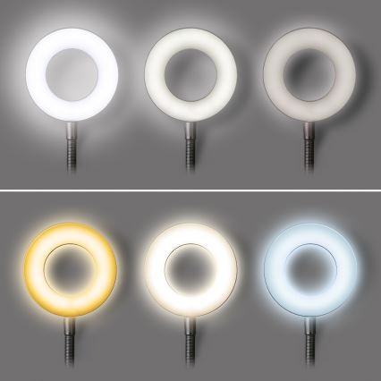 Lampe de table à intensité variable avec pince LED/8W/230V 3000/4000/5000K noir