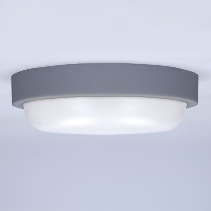 Applique murale extérieure LED/13W/230V 4000K IP54 gris arrondi