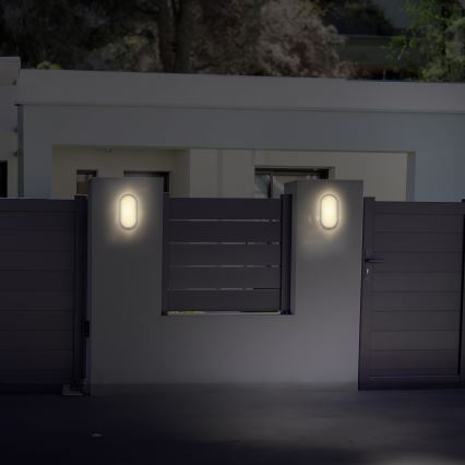 LED Wandlamp voor buiten LED/20W/230V 4000K IP54 grijs ovaal