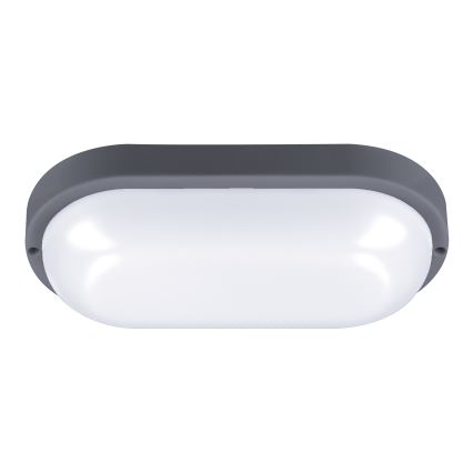 LED Wandlamp voor buiten LED/20W/230V 4000K IP54 grijs ovaal