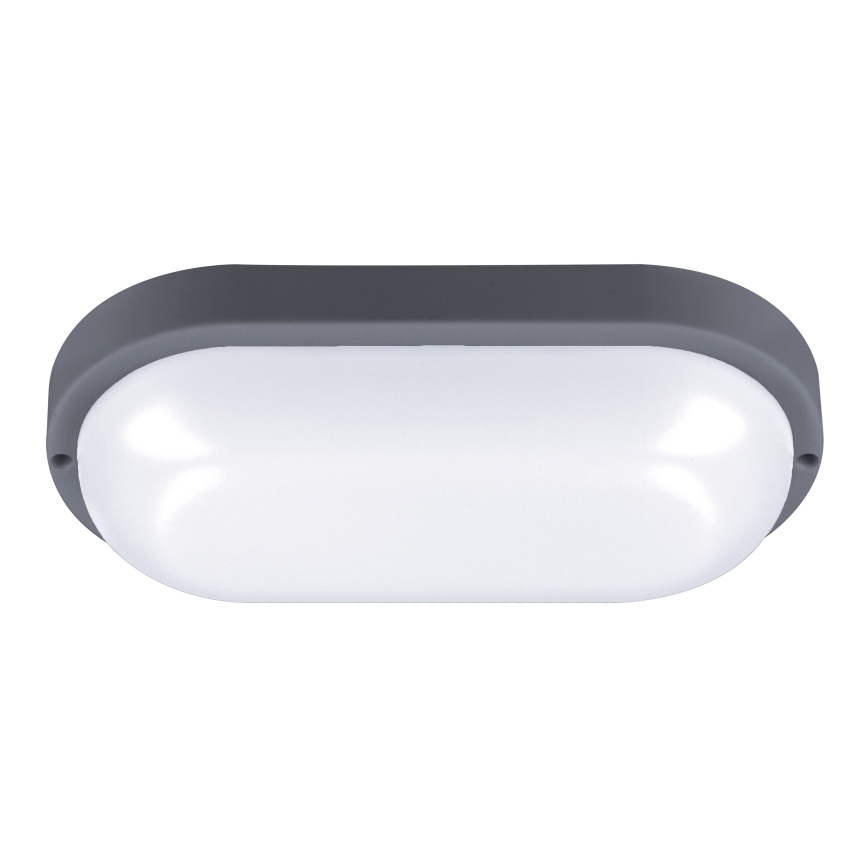 LED Wandlamp voor buiten LED/20W/230V 4000K IP54 grijs ovaal