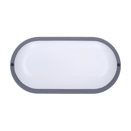 LED Wandlamp voor buiten LED/20W/230V 4000K IP54 grijs ovaal