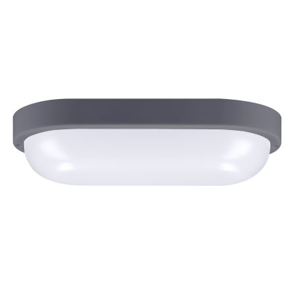 LED Wandlamp voor buiten LED/20W/230V 4000K IP54 grijs ovaal