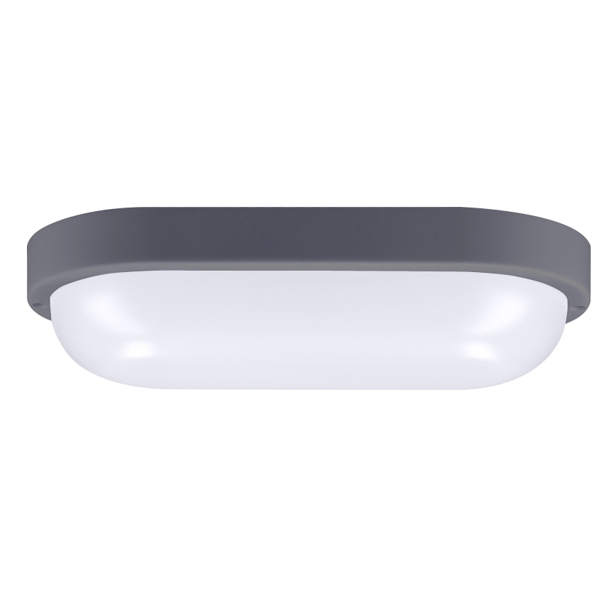 LED Wandlamp voor buiten LED/20W/230V 4000K IP54 grijs ovaal