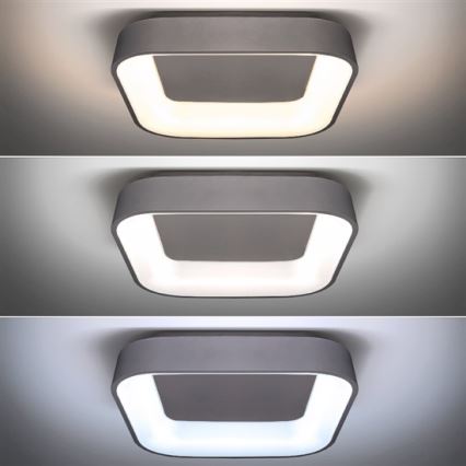 LED Dimbaar Plafondlamp TREVISO LED/48W/230V + afstandsbediening