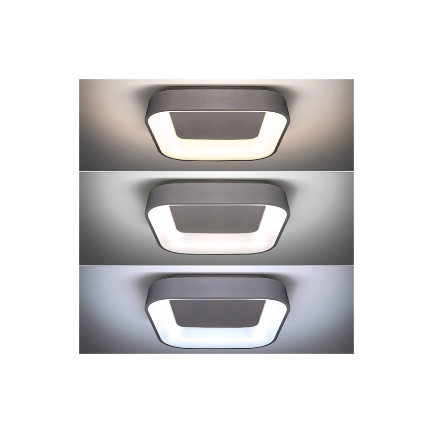 LED Dimbaar Plafondlamp TREVISO LED/48W/230V + afstandsbediening