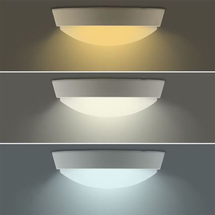 LED buitenwandlamp 2-in-1 LED/20W/230V 3000/4000/6500K IP65 Ø 22 cm