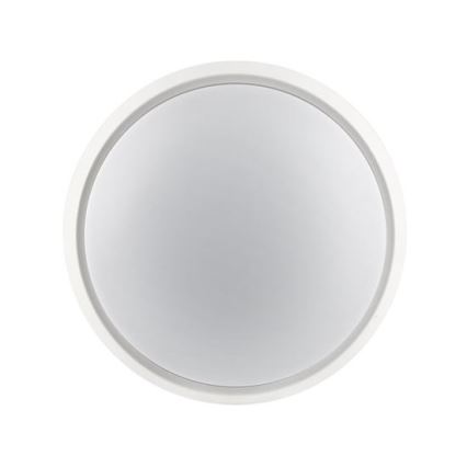LED buitenwandlamp 2-in-1 LED/20W/230V 3000/4000/6500K IP65 Ø 22 cm