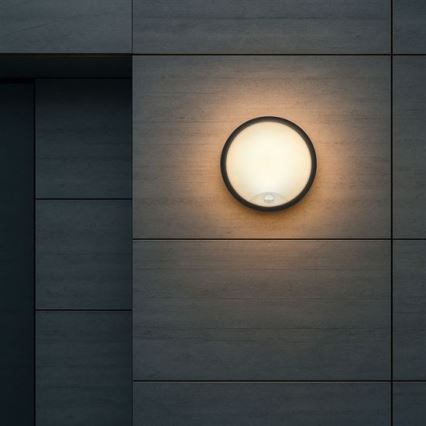 LED buitenmuurlamp met 2-in-1 sensor, 20 W, 230 V, 3000/4000/6500 K, IP65, Ø 22 cm