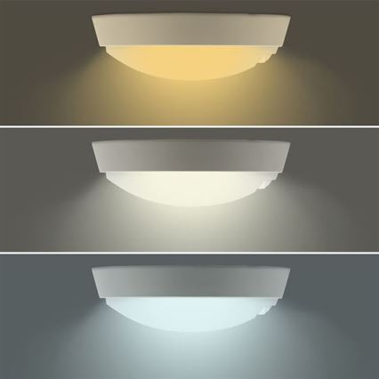 LED-buitenwandlamp met 2-in-1 sensor, 20W/230V, 3000/4000/6500K, IP65, Ø 22 cm