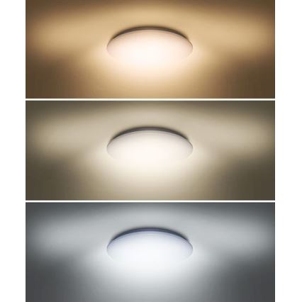 LED Plafond Lamp PLAIN LED/24W/230V 3000K/4000K/6000K rond