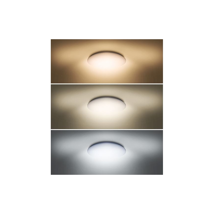Plafonnier PLAIN LED/24W/230V 3000K/4000K/6000K rond