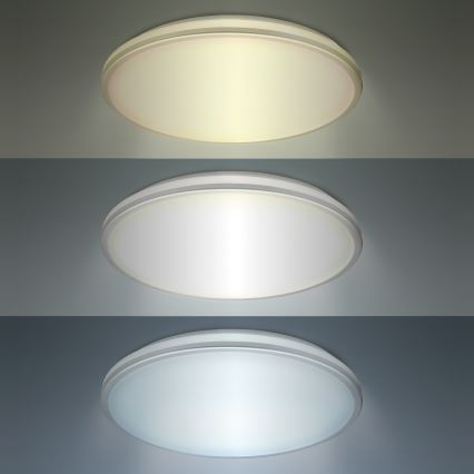 LED Badkamer plafondlamp LED/18W/230V 3000/4000/6500K IP54