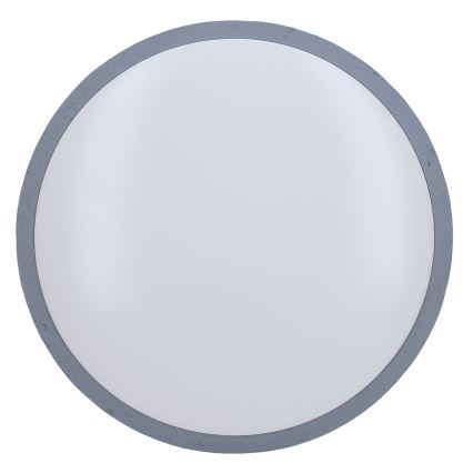 LED Dimbaar Plafondlamp GREY LED/60W/230V 3000-6500K grijs Ø 49 cm + afstandsbediening