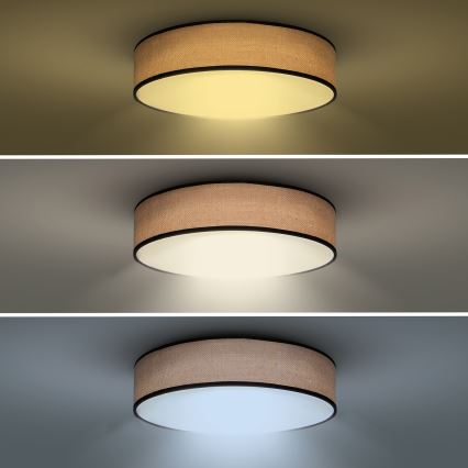 Plafonnier à intensité variable BROWNIE LED/48W/230V 3000-6500K marron d. 40 cm + télécommande