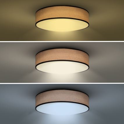 Dimbare LED plafondlamp BROWNIE LED/60W/230V 3000-6500K bruin diameter 50 cm + afstandsbediening