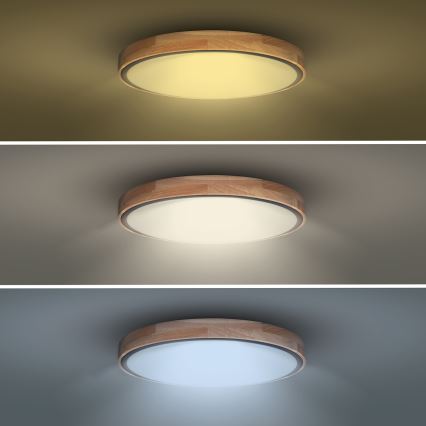 LED-dimbare plafondlamp IRON OAK LED/48W/230V 3000-6500K eiken Ø 40 cm + afstandsbediening