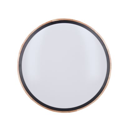 LED-dimbare plafondlamp IRON OAK LED/48W/230V 3000-6500K eiken Ø 40 cm + afstandsbediening