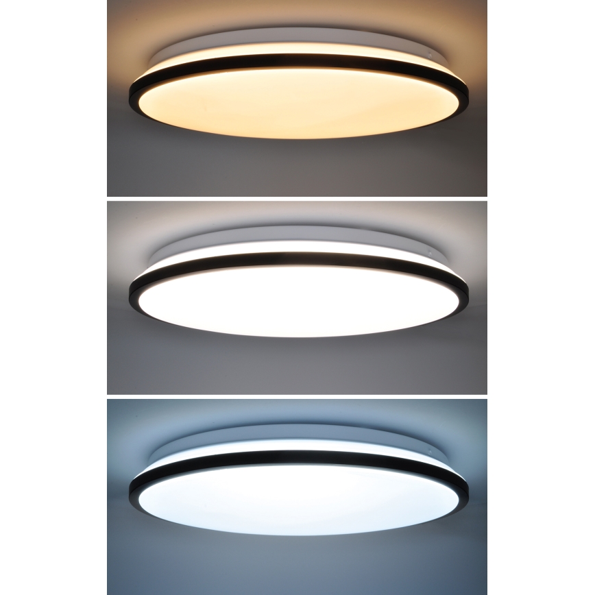 Plafonnier à intensité variable JAMIL LED/48W/230V 3000-6500K noir + télécommande