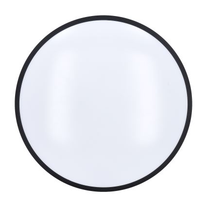 Plafonnier à intensité variable LASKOS LED/48W/230V 3000-6500K noir + télécommande