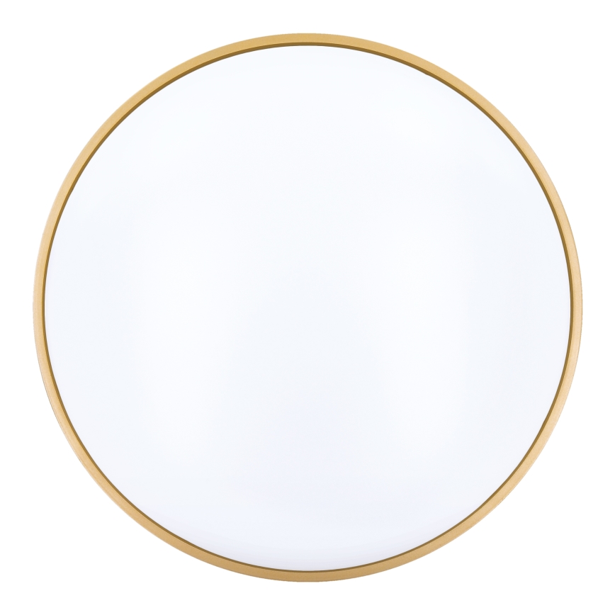 Dimbare LED plafondlamp CALA LED/48W/230V 3000-6500K zwart/goud + afstandsbediening