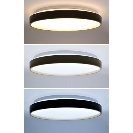 Plafonnier à intensité variable CALA LED/48W/230V 3000-6500K noir/doré + télécommande