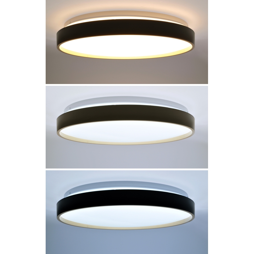 Plafonnier à intensité variable CALA LED/48W/230V 3000-6500K noir/doré + télécommande