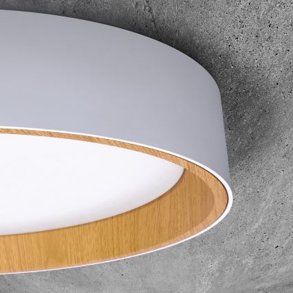 Dimbare LED plafondlamp LARIOS LED/48W/230V 3000-6500K diameter 39 cm wit + afstandsbediening