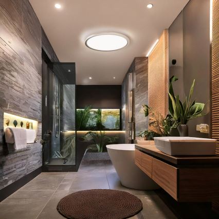 LED plafondlamp voor badkamer ACATE LED/18W/230V 3000/4000/6000K Ø 22 cm IP54