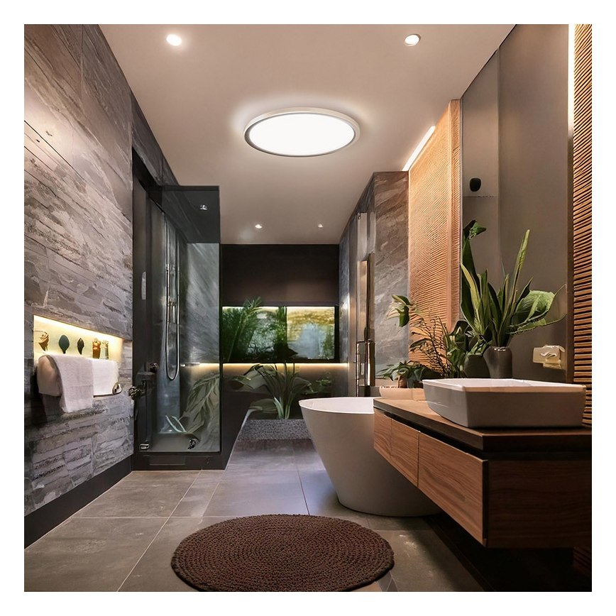 LED plafondlamp voor badkamer ACATE LED/18W/230V 3000/4000/6000K Ø 22 cm IP54